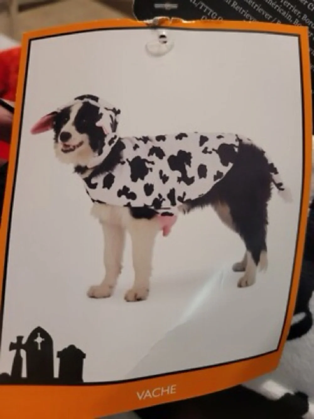 Skull & Bones Cow Dog Pet Costume with Udders – Size L